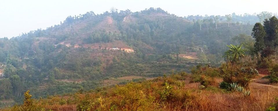 15135834_1232446316794840_8455393937619764854_n